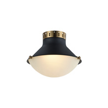 Matteo Lighting X66302MBAG - Notting Ceiling Mount