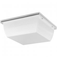 Progress P550113-028-30 - P550113-028-30 1-25W OUTDOOR FLUSH MOUNT