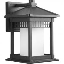 Progress P6001-31 - P6001-31 1-100W MED WALL LANTERN