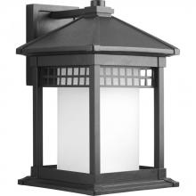 Progress P6002-31 - P6002-31 1-100W MED WALL LANTERN