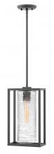 Hinkley Canada 1252SK - Medium Hanging Lantern