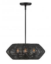 Hinkley Canada 40383BLK - Small Convertible Drum Chandelier