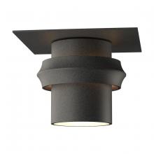 Hubbardton Forge - Canada 364903-SKT-20 - Twilight Dark Sky Friendly Outdoor Semi-Flush