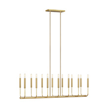 VC Studio Collection EC10614BBS - Brianna Linear Chandelier